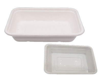 Square Food Packaging Trays